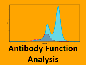antibody function analysis in vitro cell model screening