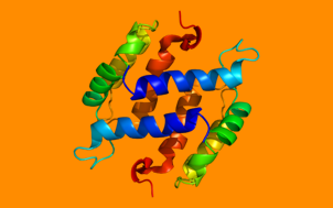 protein engineering conjugation modification